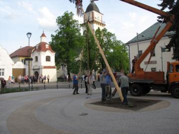Stavanie mája v Bojniciach Stavanie mája v Bojniciach