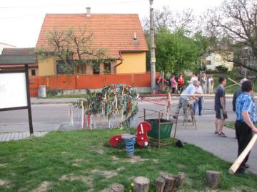 Stavanie mája v Dubnici Stavanie mája v Dubnici