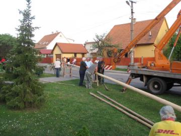 Stavanie mája v Dubnici Stavanie mája v Dubnici